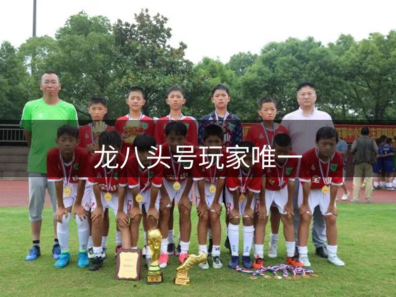龙八头号玩家唯一介绍